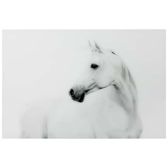 Empire Art Direct 48" x 32" Blanco Stallion Horse Frameless Printed Tempered Glass Wall Art